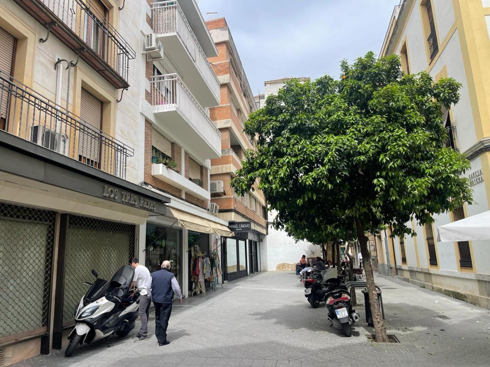 Apartamentos Azonaicas Centro Tendillas Córdoba Eksteriør bilde